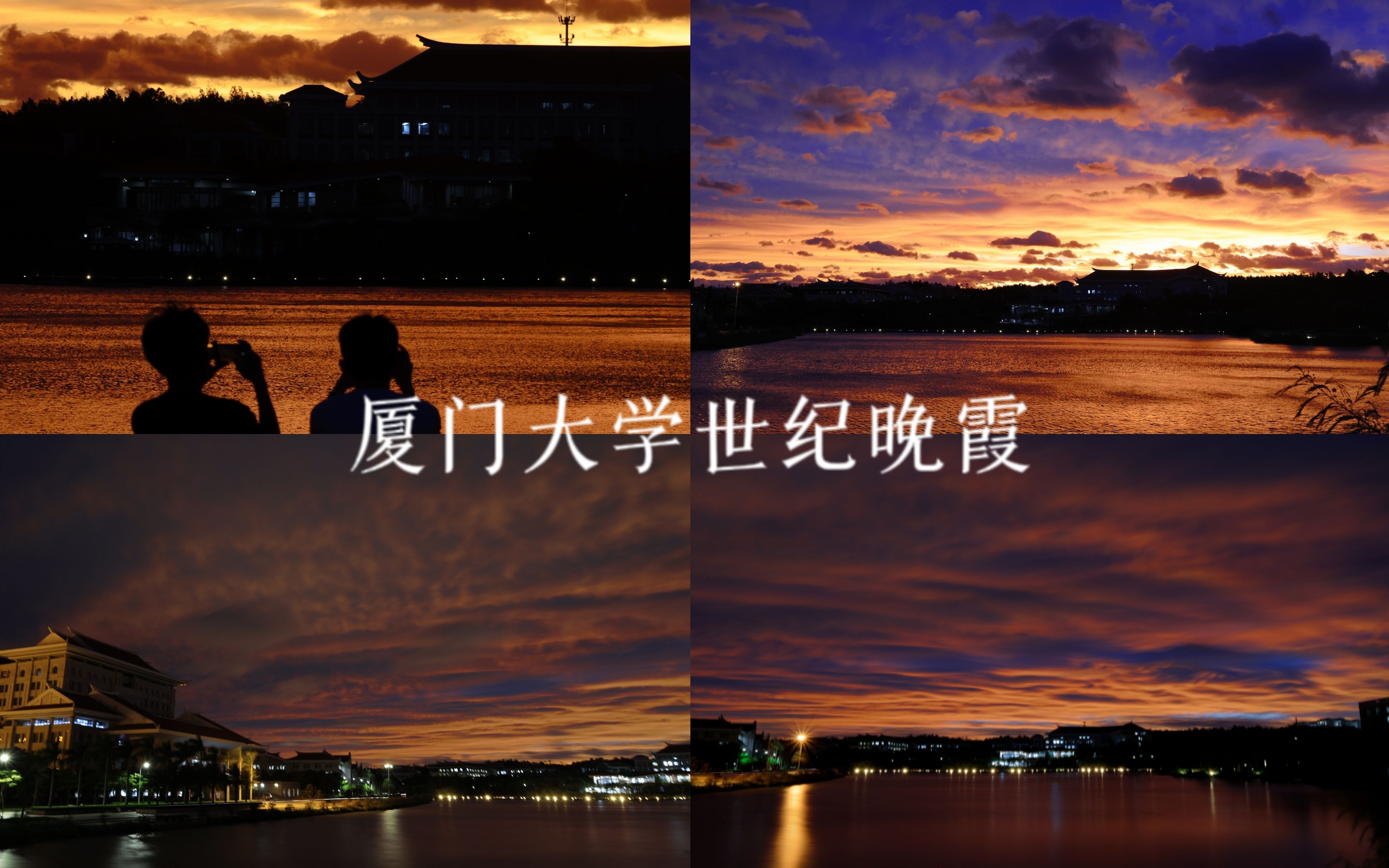 [4K] 生活很匆忙 别错过落日和夕阳 | 厦门大学世纪晚霞哔哩哔哩bilibili