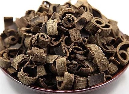 中药厚朴的功效如何(中药厚朴的作用是什么)