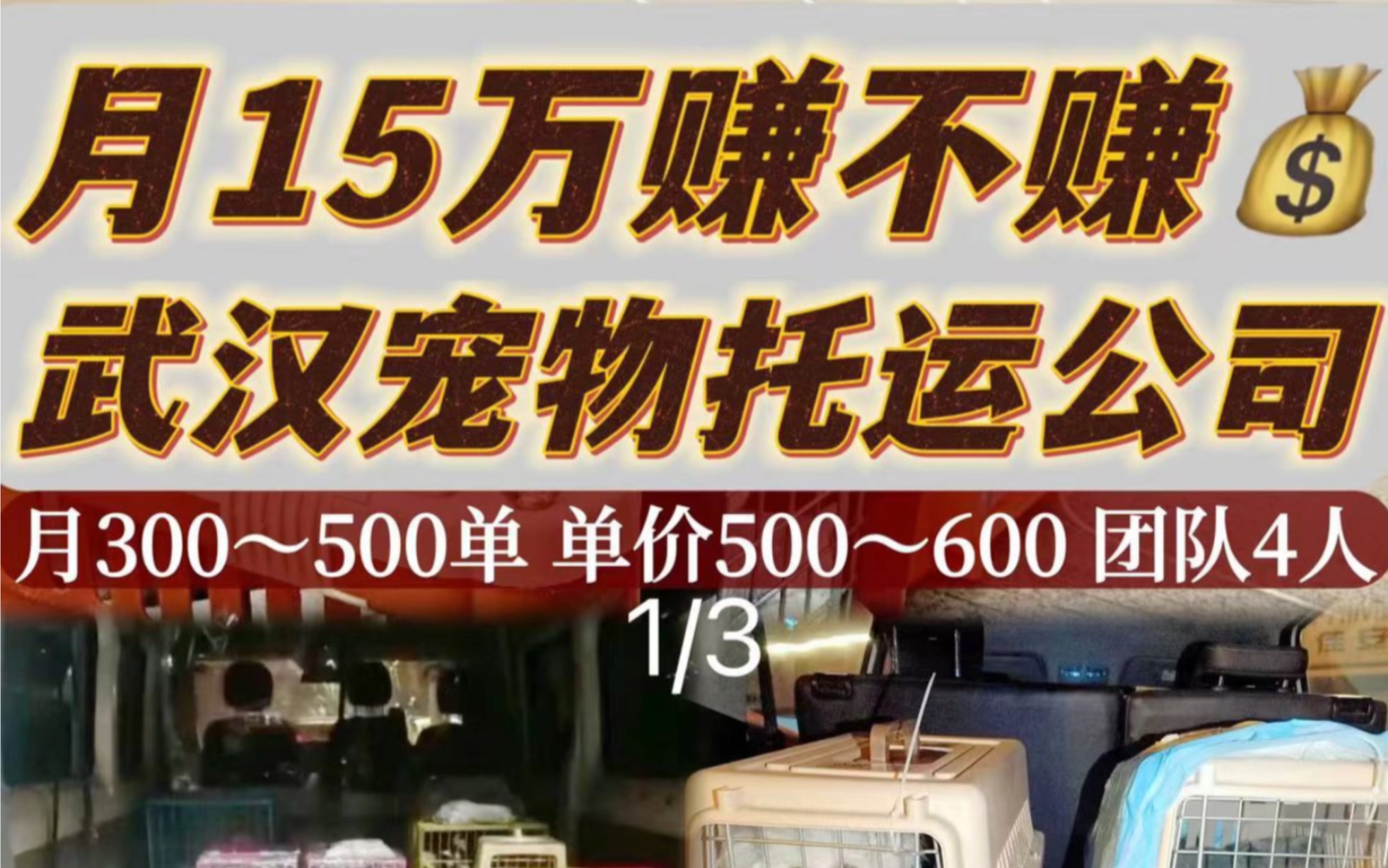 月15万赚不赚钱 武汉宠物托运公司 第一集哔哩哔哩bilibili