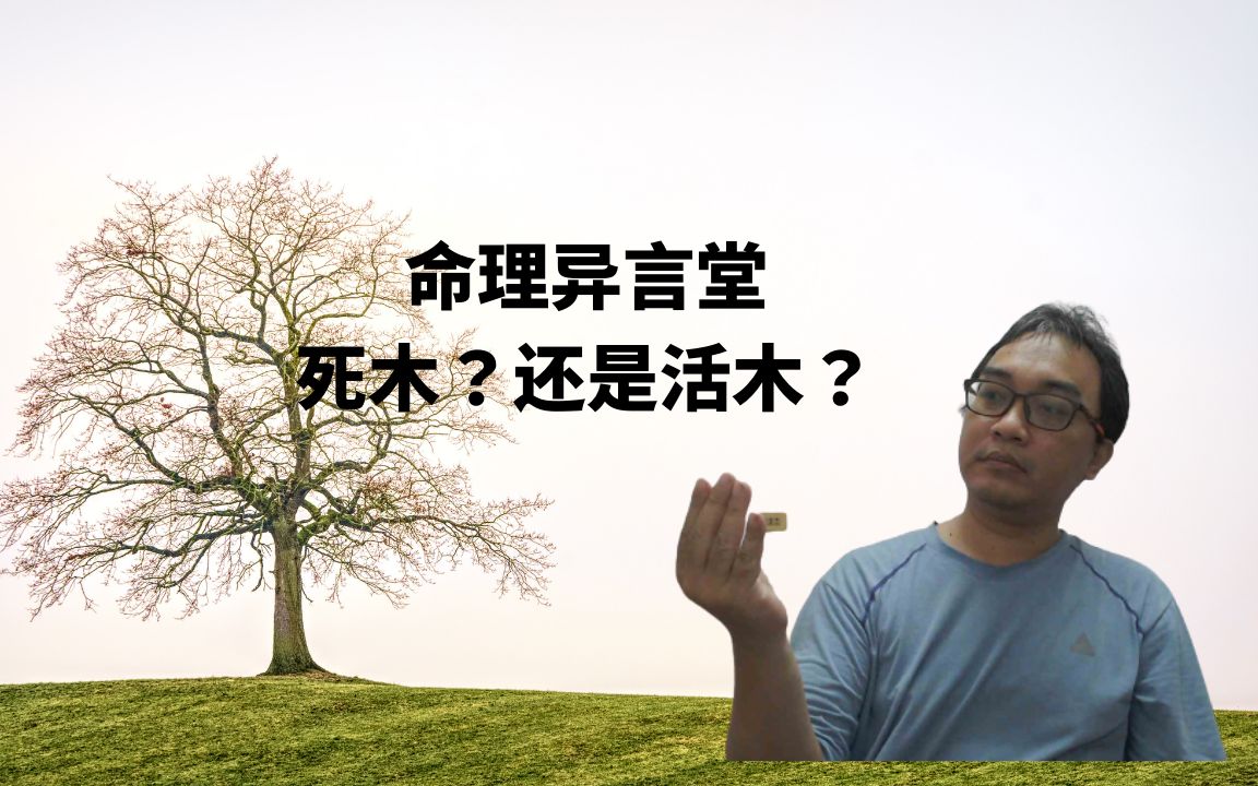 【五行派八字】八字案例─死木?还是活木?哔哩哔哩bilibili