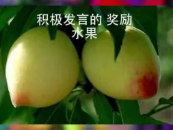 Download Video: 【今日沙雕】奖励水果