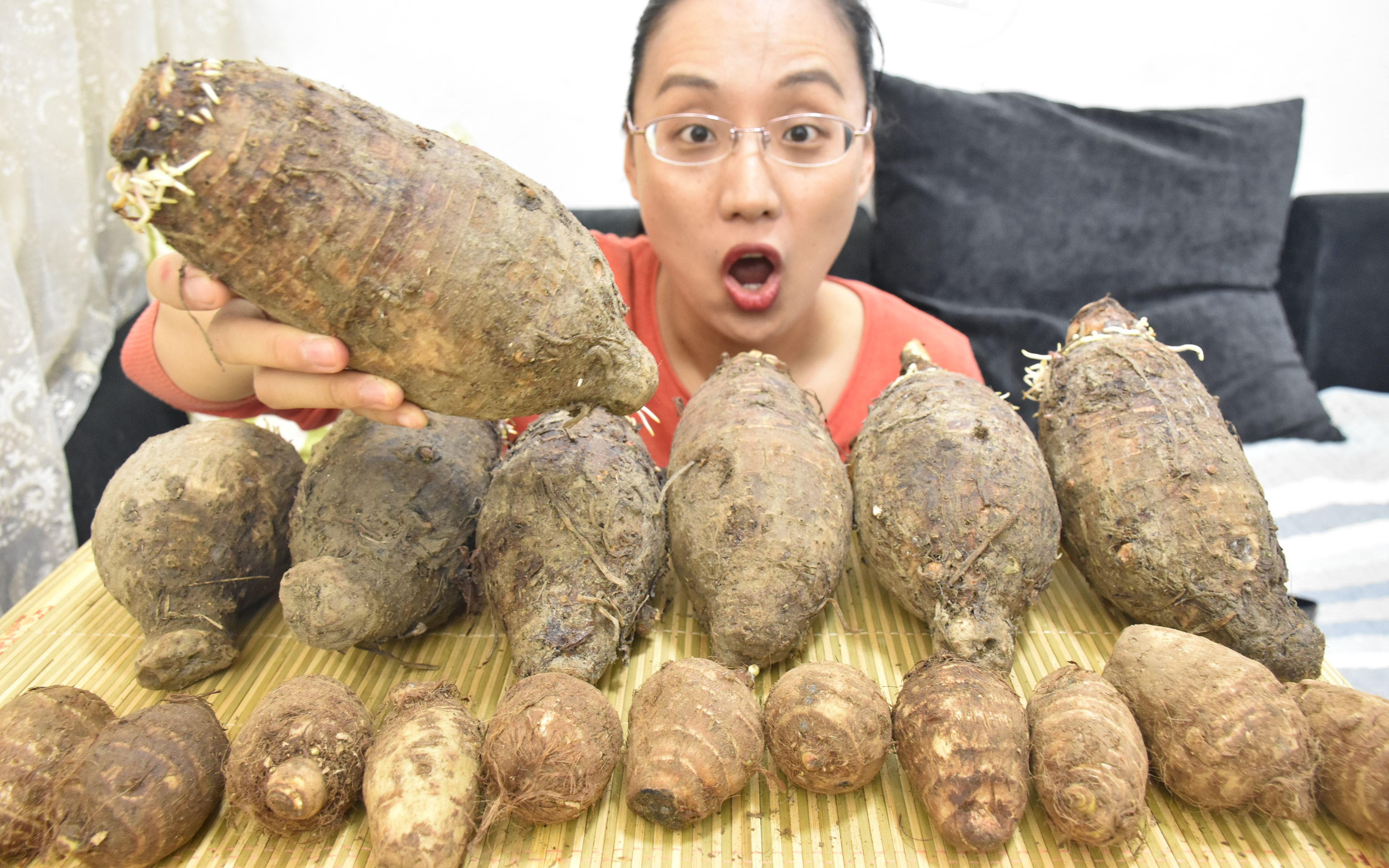 南方vs北方芋头_哔哩哔哩 (゜-゜)つロ 干杯~-bilibili