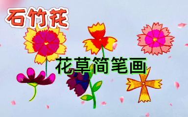 [图]花草【简笔画】，石竹花