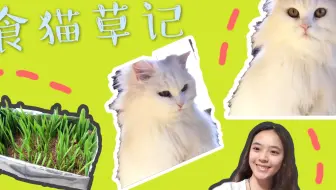 猫草去毛球的原理 哔哩哔哩 Bilibili