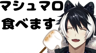 剪辑熟 影山紫炎 冷冻胡狼聊holostars 哔哩哔哩 つロ干杯 Bilibili