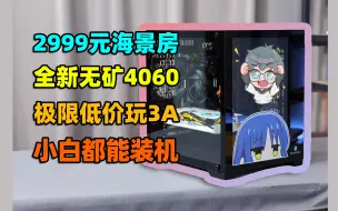 Download Video: 2999元4060主机！极致低价全新无矿，新手也能装海景房！【如舟】