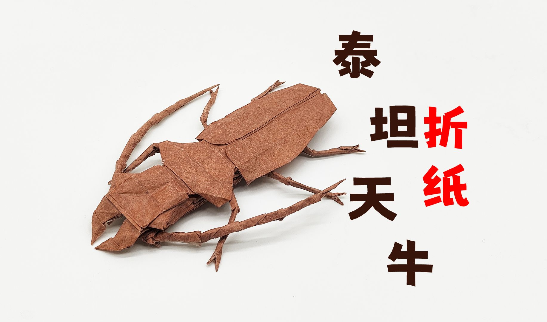 【折纸】讲真,虫子的折法和整形真的很难,这天牛难搞-巨子__deity