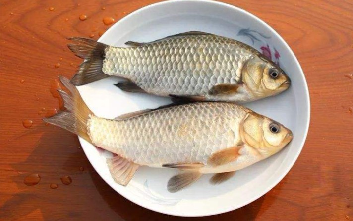 com【彭泽真真_盛势】这大概就是传说中的……两受相遇必有一攻吧www.