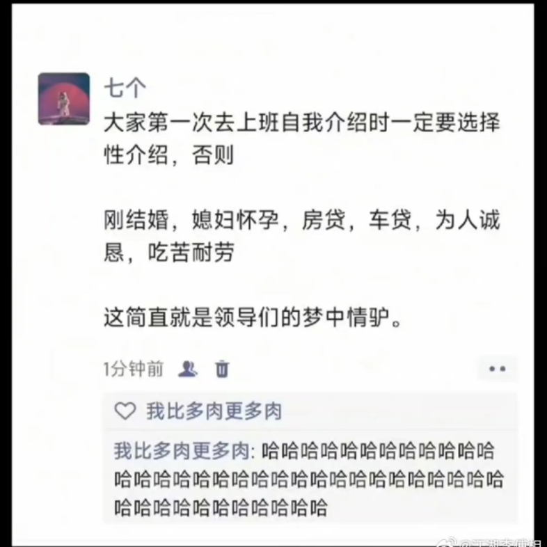 梦中情驴哔哩哔哩bilibili