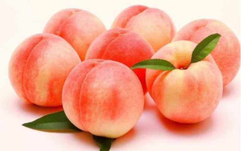 活动  * peaches *