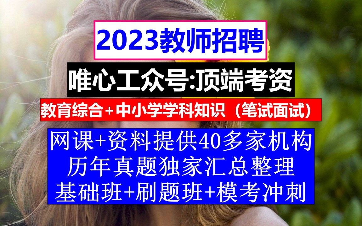 教师招聘,教师招聘培训机构排行榜,各地教师的招聘信息哔哩哔哩bilibili