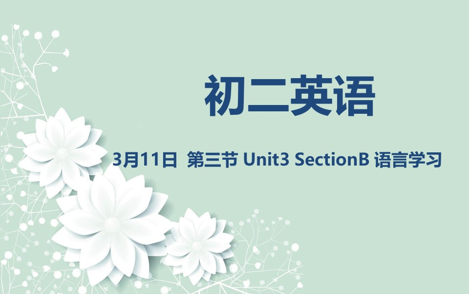 初二英语0311:U3sectionB语言学习第三节哔哩哔哩bilibili