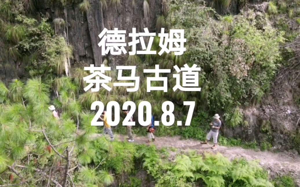 德拉姆茶马古道2020哔哩哔哩bilibili