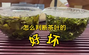 Download Video: 怎么看茶叶的好坏？咱就说，是不是把问题想简单了？