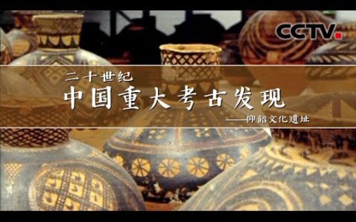 【央视/纪录片】二十世纪中国考古重大发现[十集全 480P]哔哩哔哩bilibili