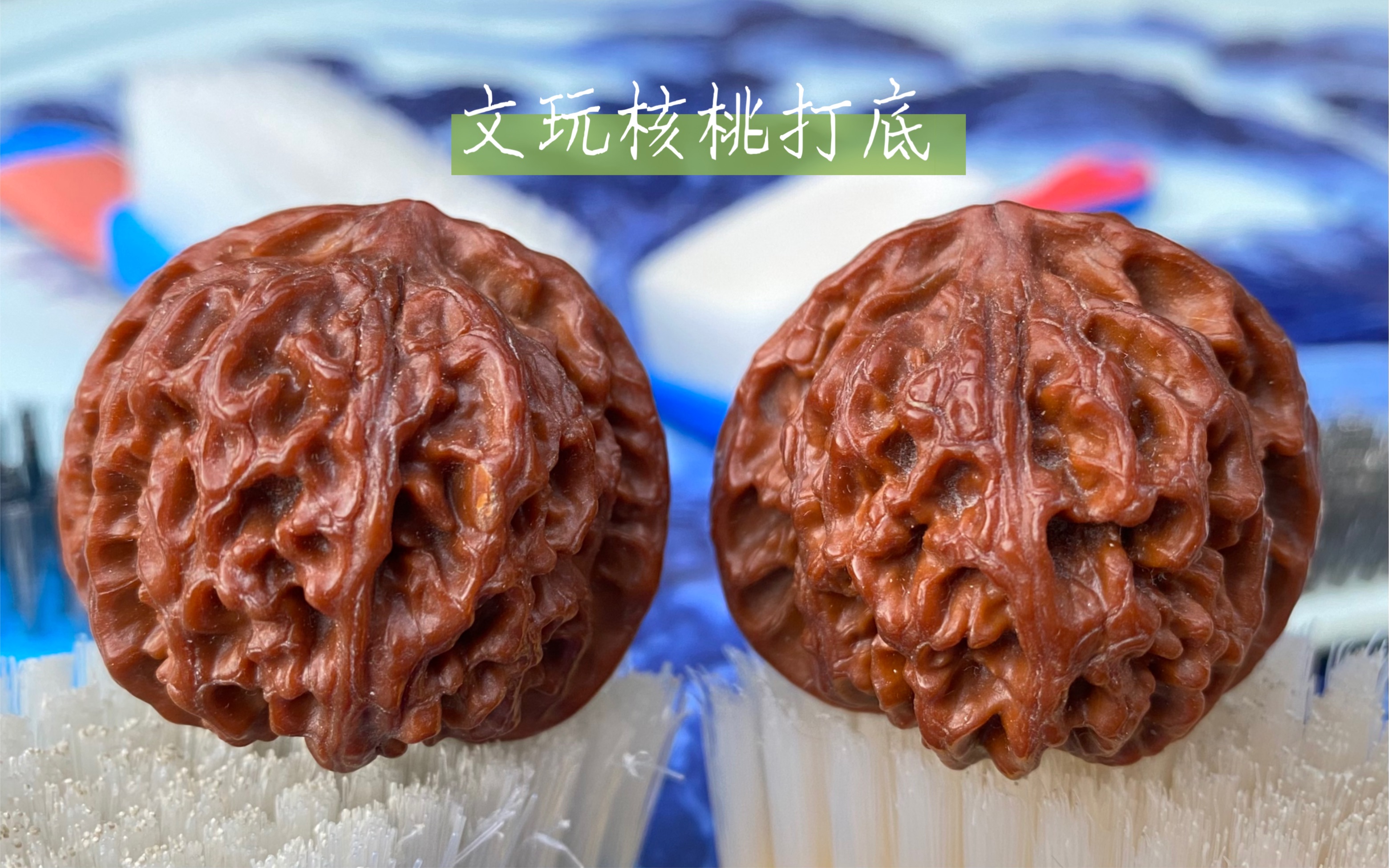 细说文玩核桃打底及各种刷子