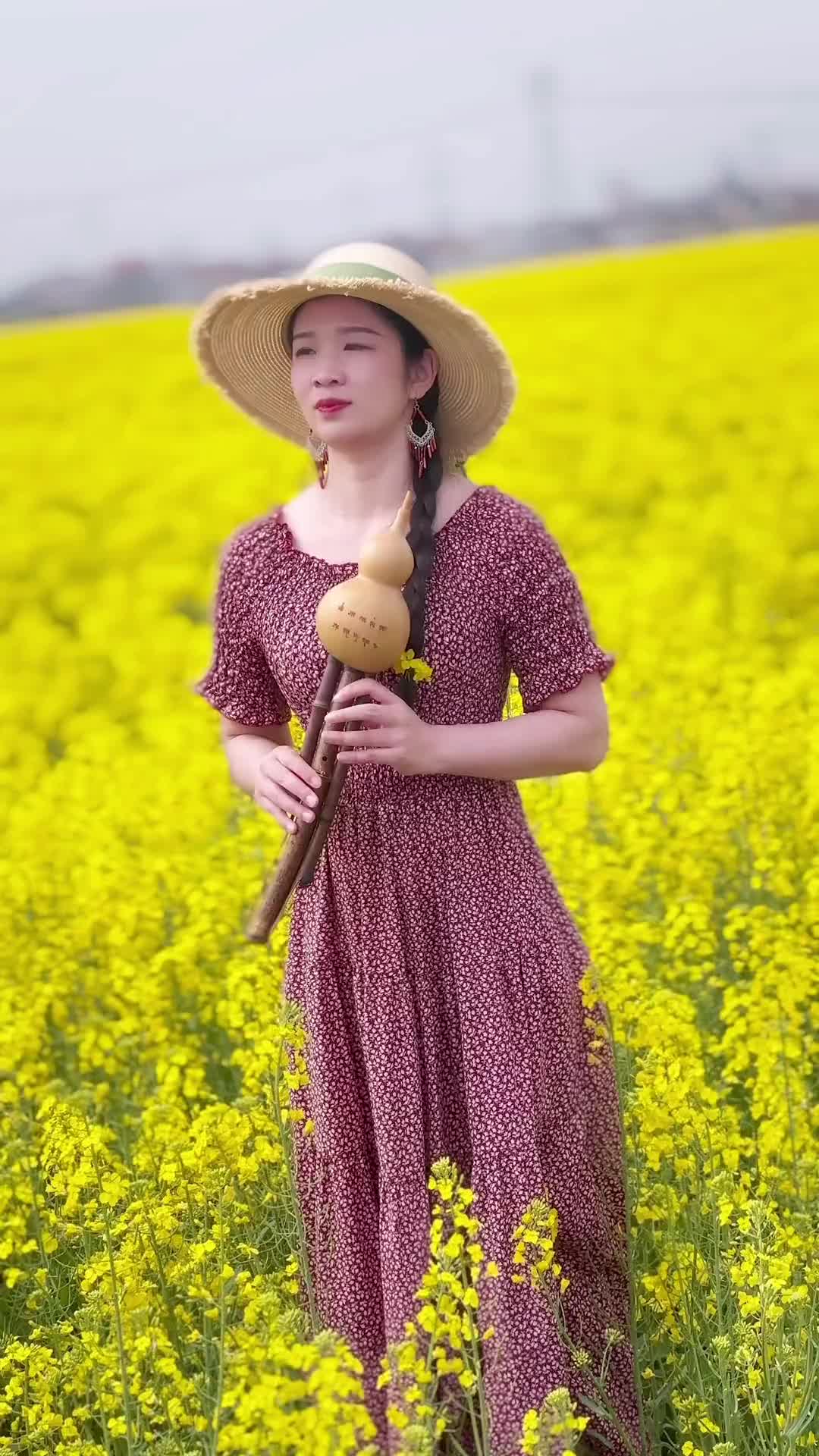 气质美女油菜花地九孔葫芦丝演奏一曲经典老歌画你葫芦丝葫芦丝教