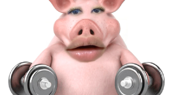 啊啊啊啊啊好好好累小粉猪举重解压好心人可以帮忙配个字幕吗谢谢