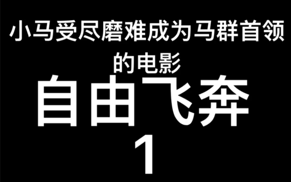 1999年美国电影~自由飞奔1哔哩哔哩bilibili