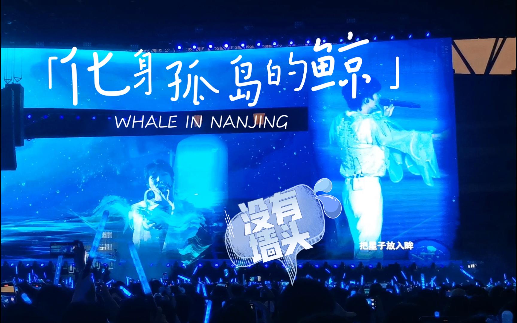 我大蓝京的大蓝鲸【周深9.29hz巡回演唱会0811南京】