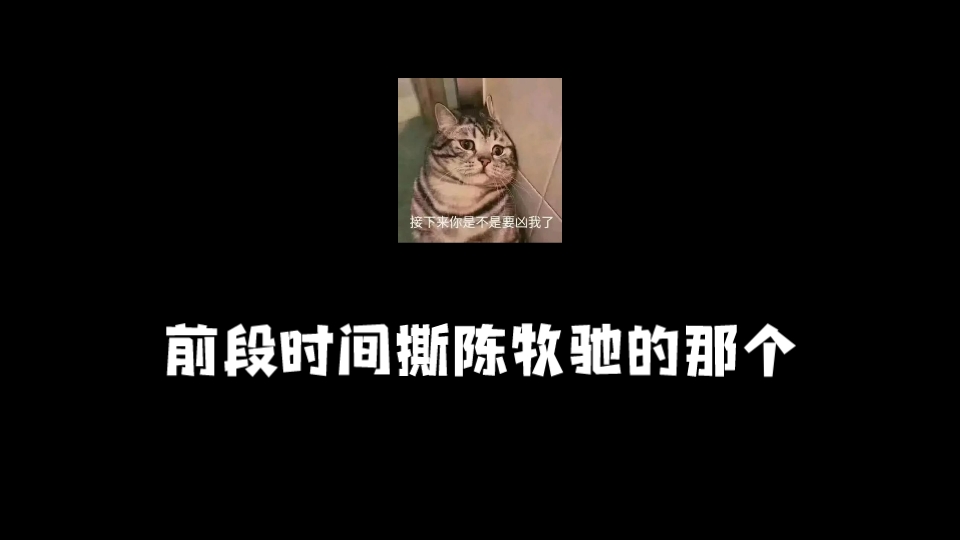 前段时间撕陈牧驰的那个吴楚一,他接下来有可能会拍网剧,已经有项目组在跟进了哔哩哔哩bilibili