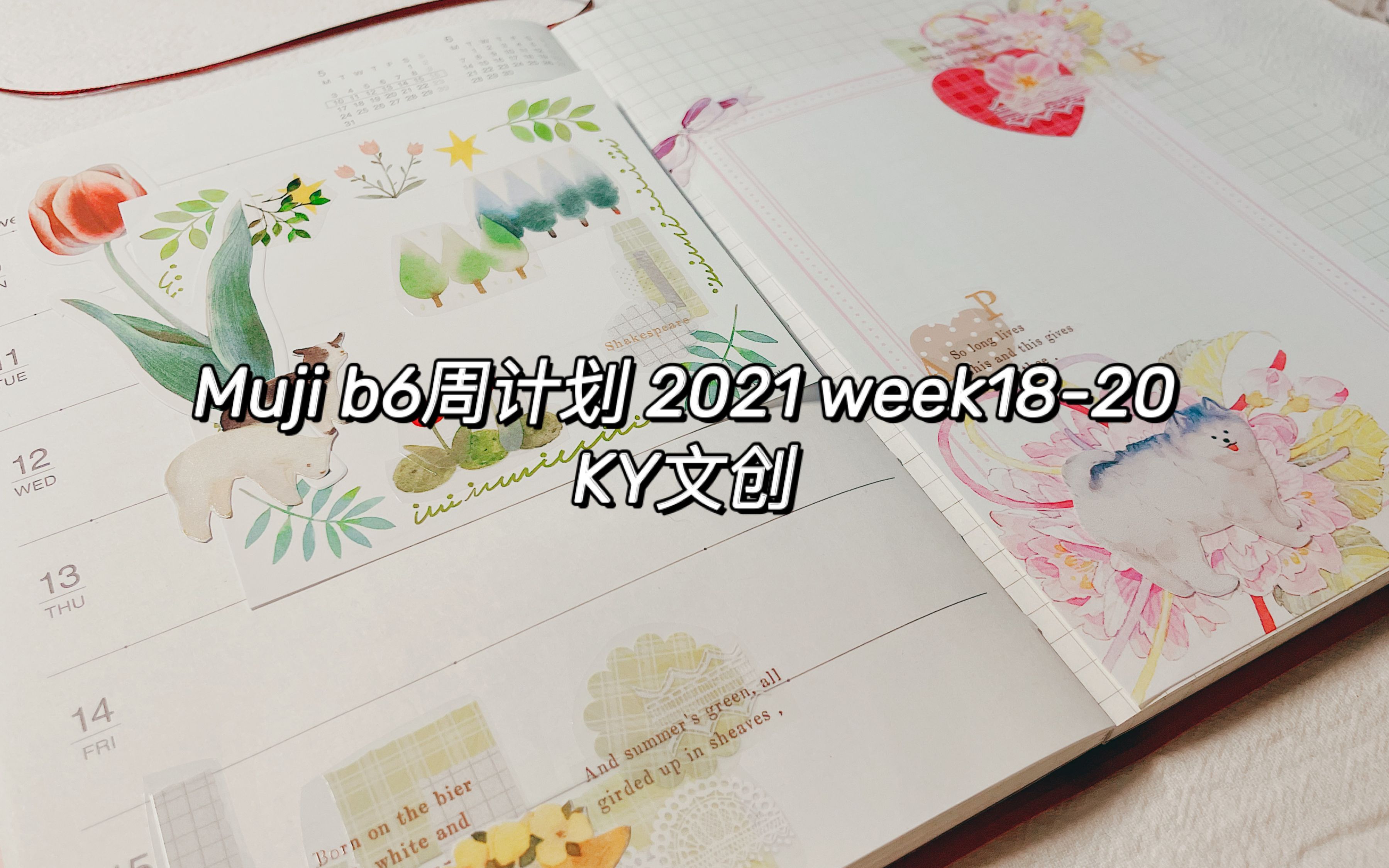 「muji周计划日程本排版」*:..｡♡*ﾟ2021week1820 KY文创哔哩哔哩bilibili