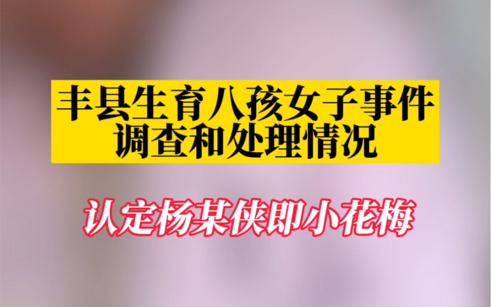 江苏通报“丰县生育八孩女子”调查处理情况:认定杨某侠即小花梅,17人被问责哔哩哔哩bilibili