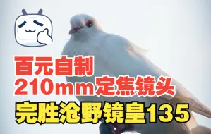 Download Video: 【穷玩摄影】百元自制210mm定焦镜头 吊打沧野镜皇135 江苏省邗江中学学生制作