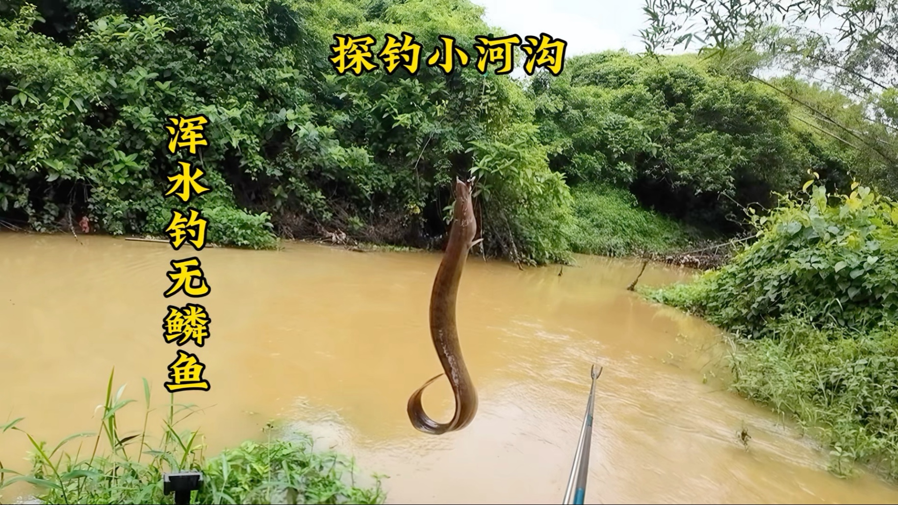 发大水,适合钓无鳞鱼-龟神小鹏-龟神小鹏-哔哩哔哩视频