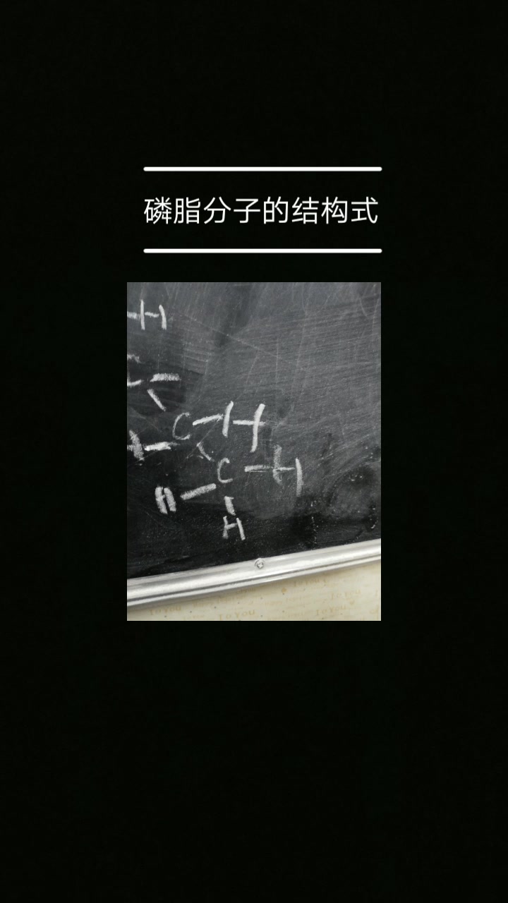 细胞膜上的磷脂分子的结构式哔哩哔哩bilibili