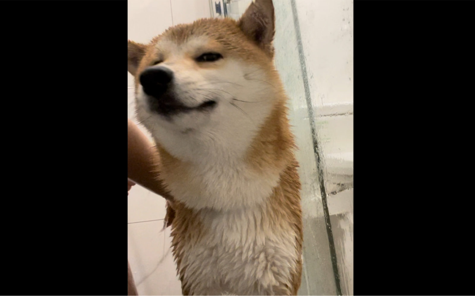 活动作品猛男出浴