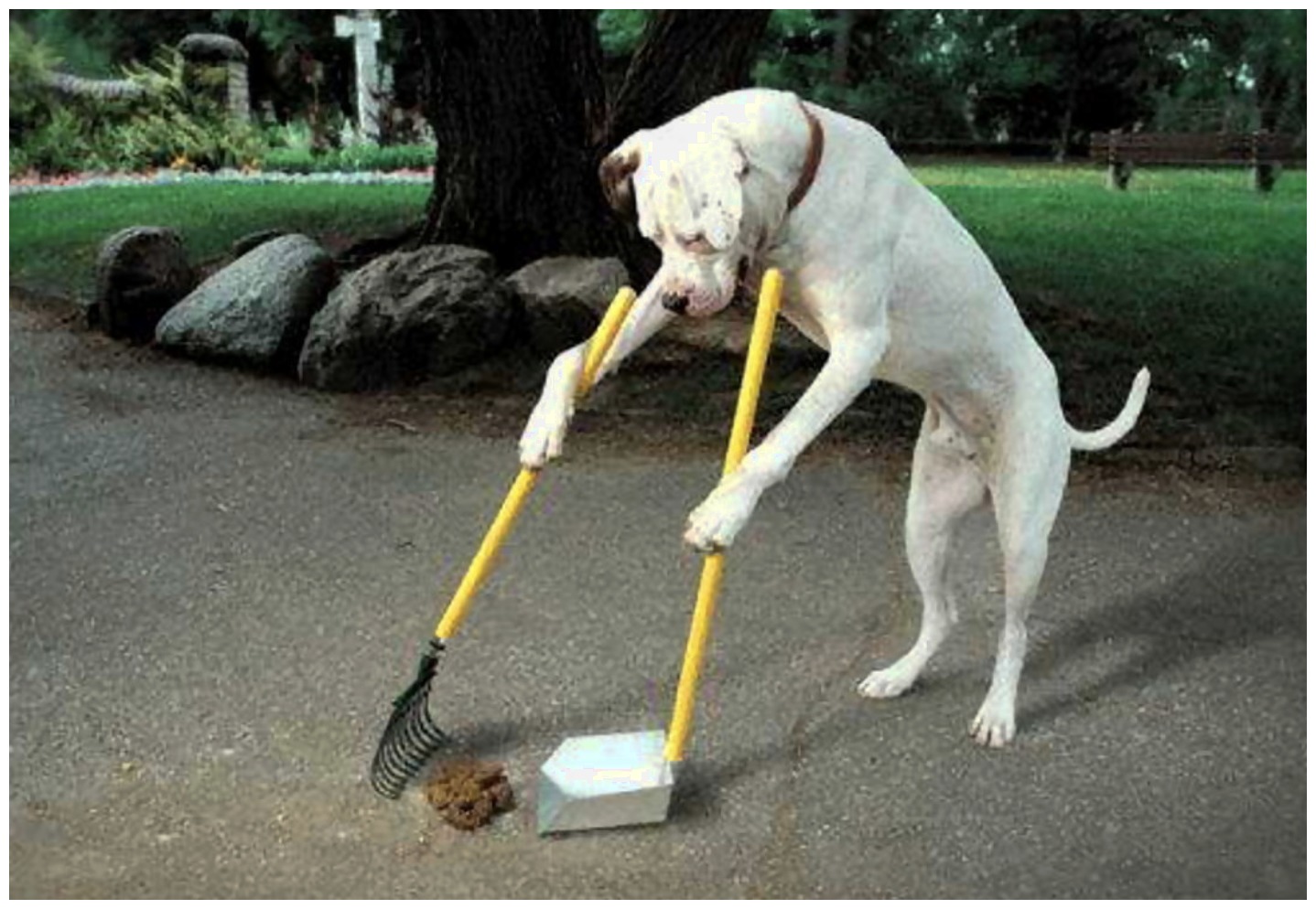 出门踩过狗屎?这款黑科技无人飞机,专挑狗屎捡!