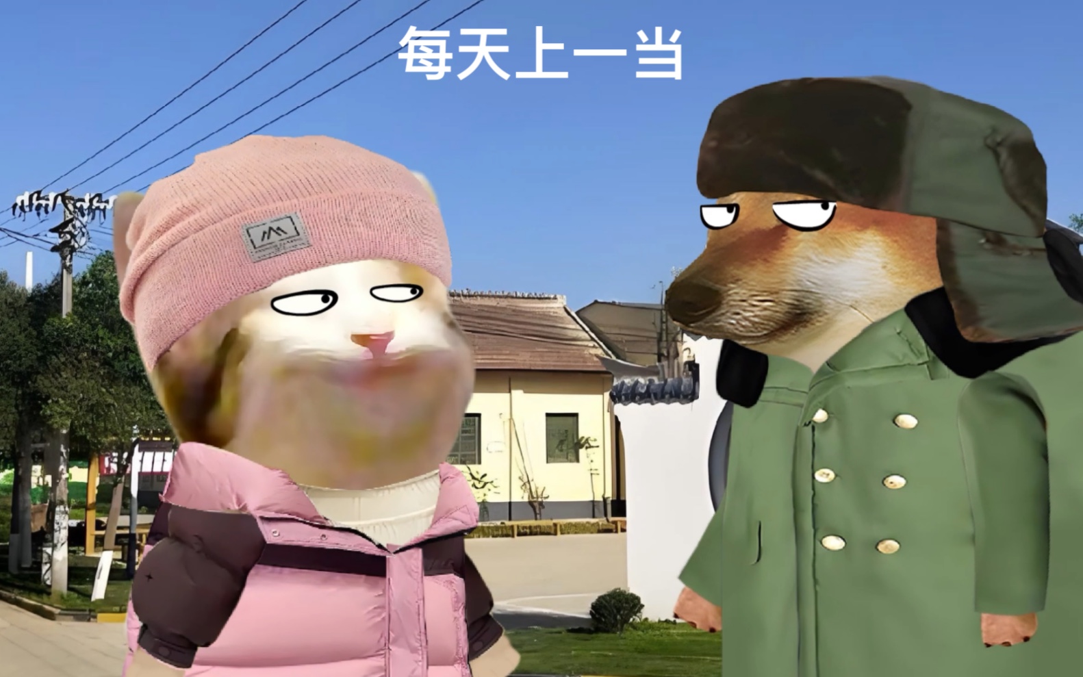 每天上一当,当当不一样