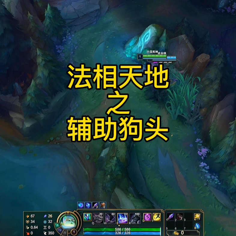 法相天地狗头辅助没位置又不会辅助的时候可以试试