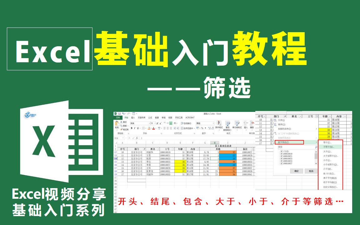 Excel基础入门教程—数据快速查找、筛选【信息技术小课堂】哔哩哔哩bilibili