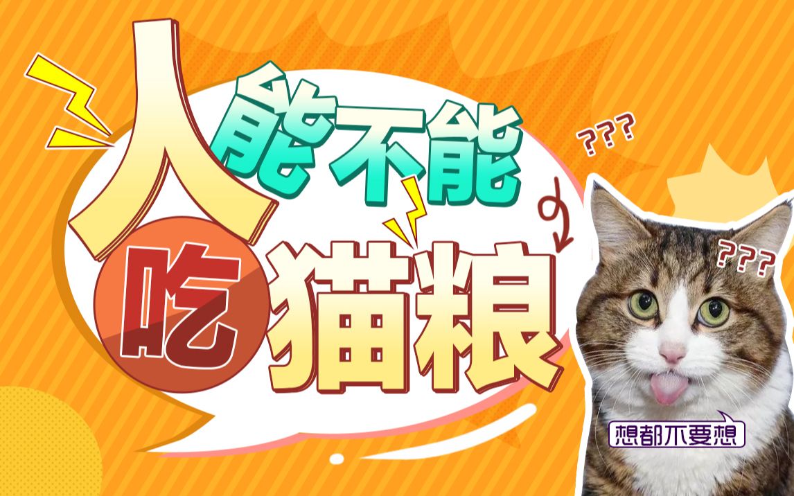 【猫局科普】人可以吃猫粮吗?哔哩哔哩bilibili