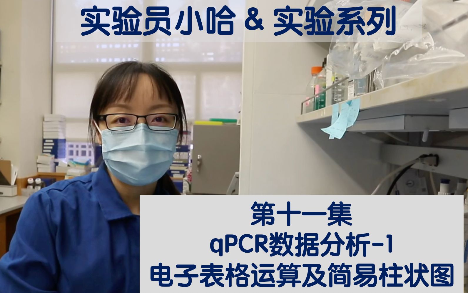 实验员小哈&实验系列  第十一集  qPCR数据分析1(电子表格运算及简易柱状图)哔哩哔哩bilibili