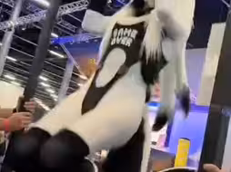 健身furry