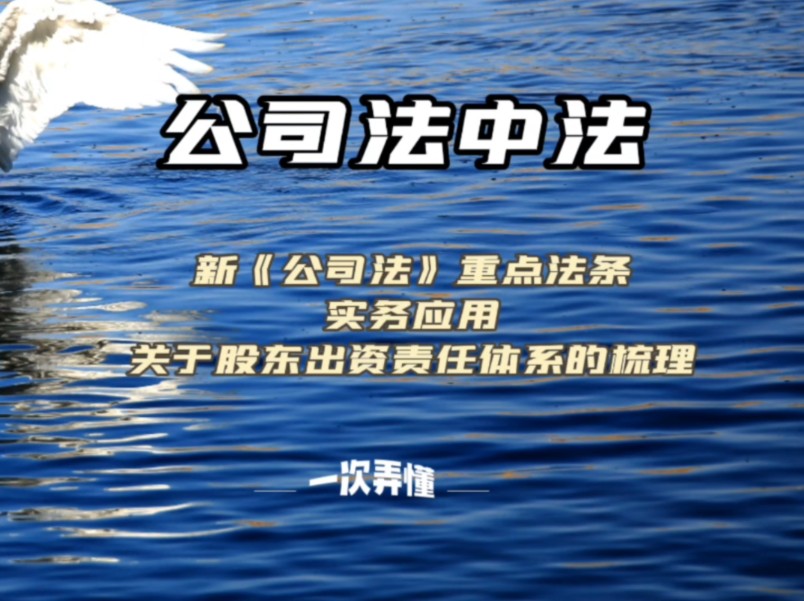 新公司法重点法条实务应用之关于股东出资责任体系的梳理哔哩哔哩bilibili