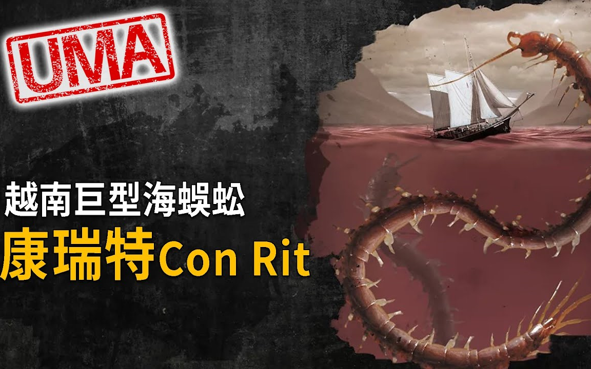 UMA越南巨型海蜈蚣「康瑞特Con Rit」,蛰伏于下龙湾海域的千足怪物,巨大无脊椎生物古代装甲鲸遗族哔哩哔哩bilibili