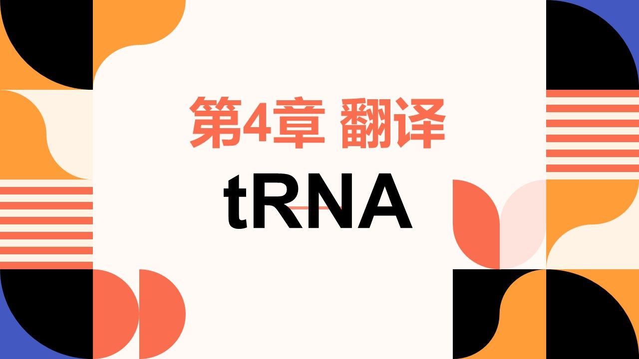 【分子生物学】第4章 翻译 | 第2节 tRNA(tRNA的结构和功能)哔哩哔哩bilibili