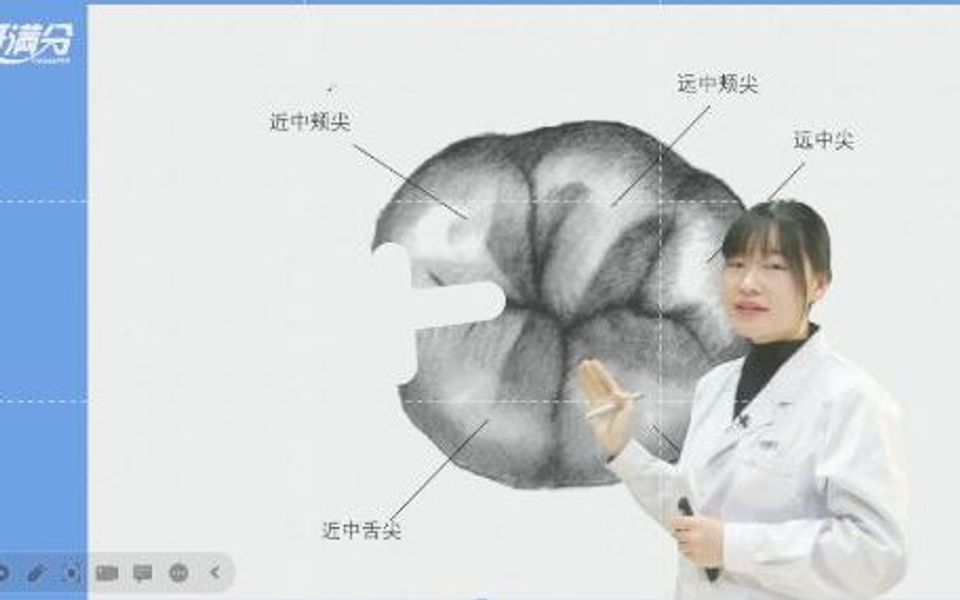 口腔实践技能二类洞制备之下六的洞型哔哩哔哩bilibili