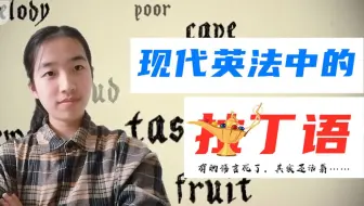这真的是英语吗 盘点一下欧美人爱用的拉丁语 法语 西班牙表达 哔哩哔哩 Bilibili