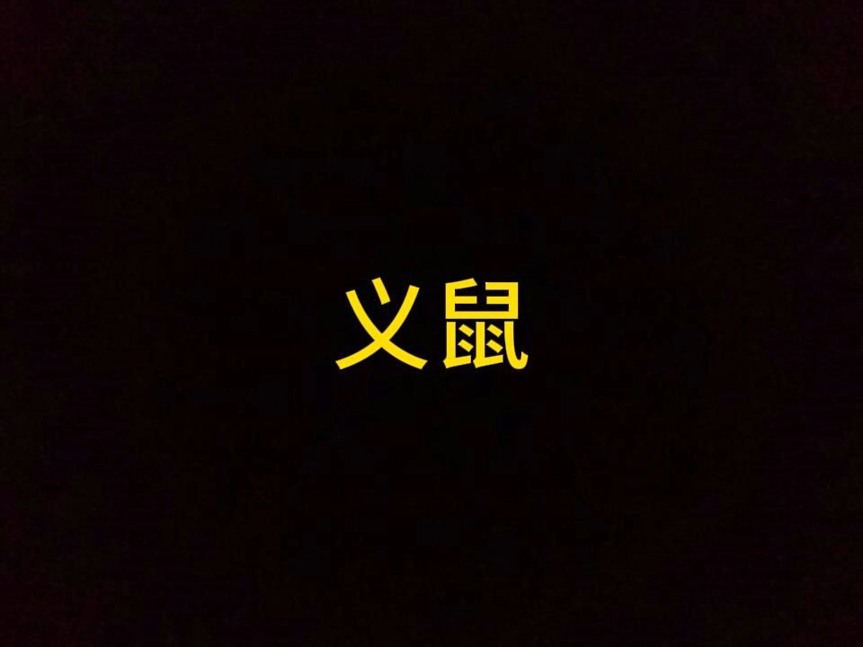 义鼠哔哩哔哩bilibili