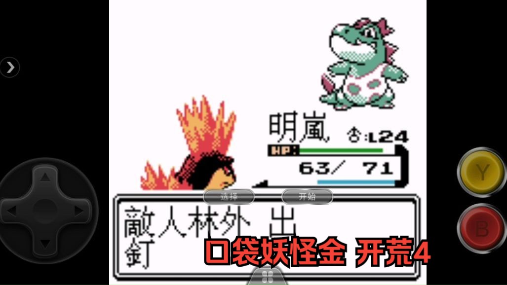 口袋妖怪金 开荒4