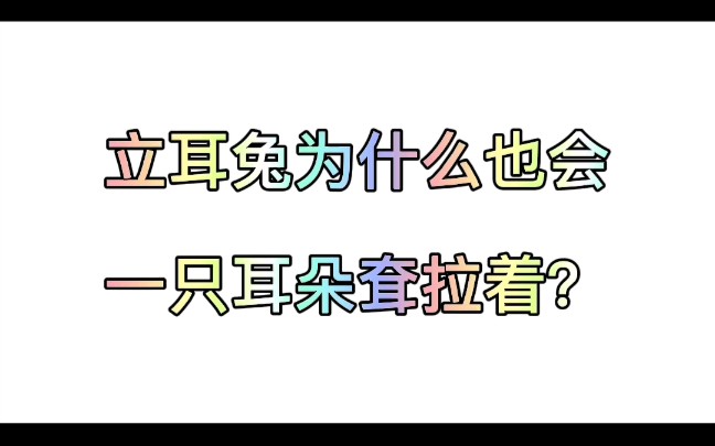 立耳兔为什么也会一只耳朵耷拉着?哔哩哔哩bilibili