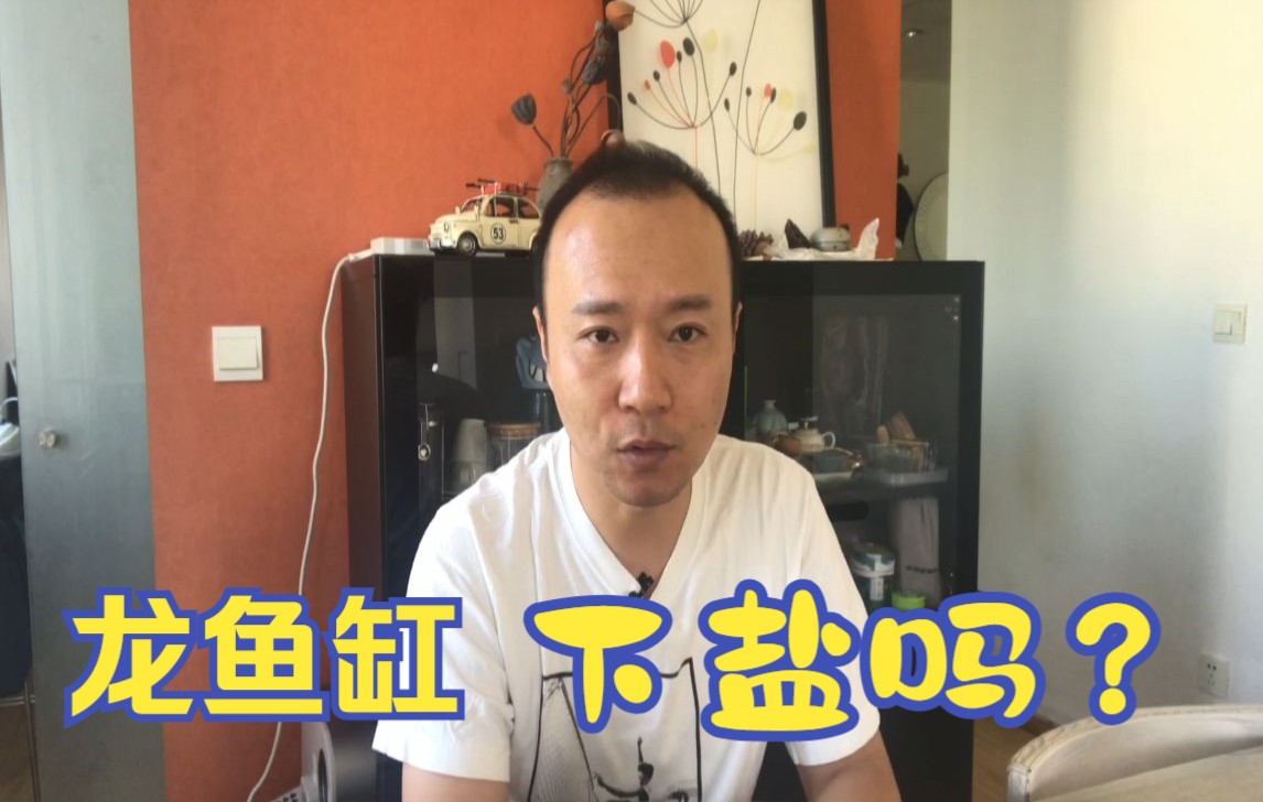 #71 养龙鱼要下盐吗?好处与坏处有哪些?哔哩哔哩bilibili