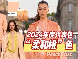 Download Video: 2024年度代表色“柔和桃”色