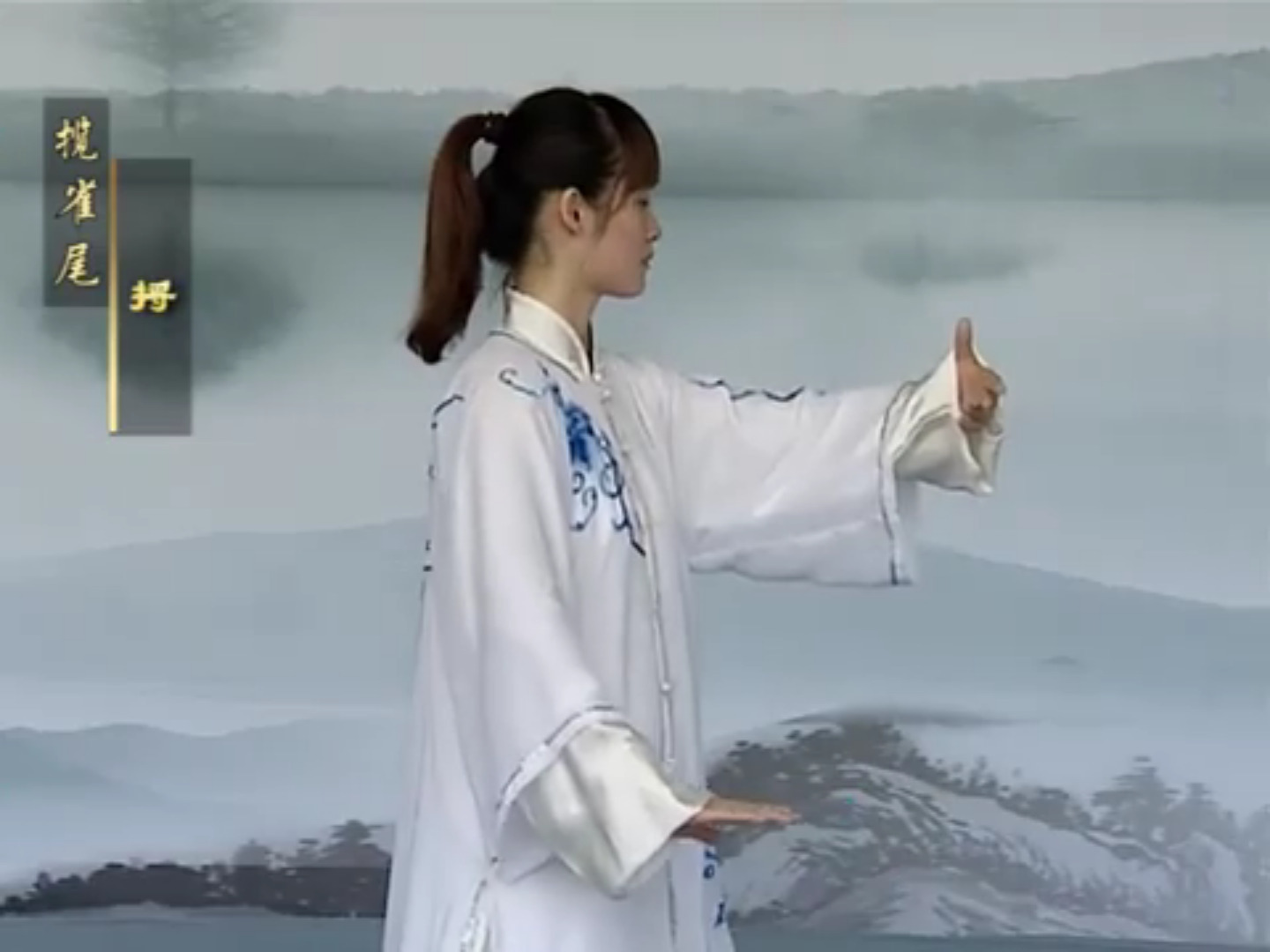 二十四式太极拳完整演示版哔哩哔哩bilibili