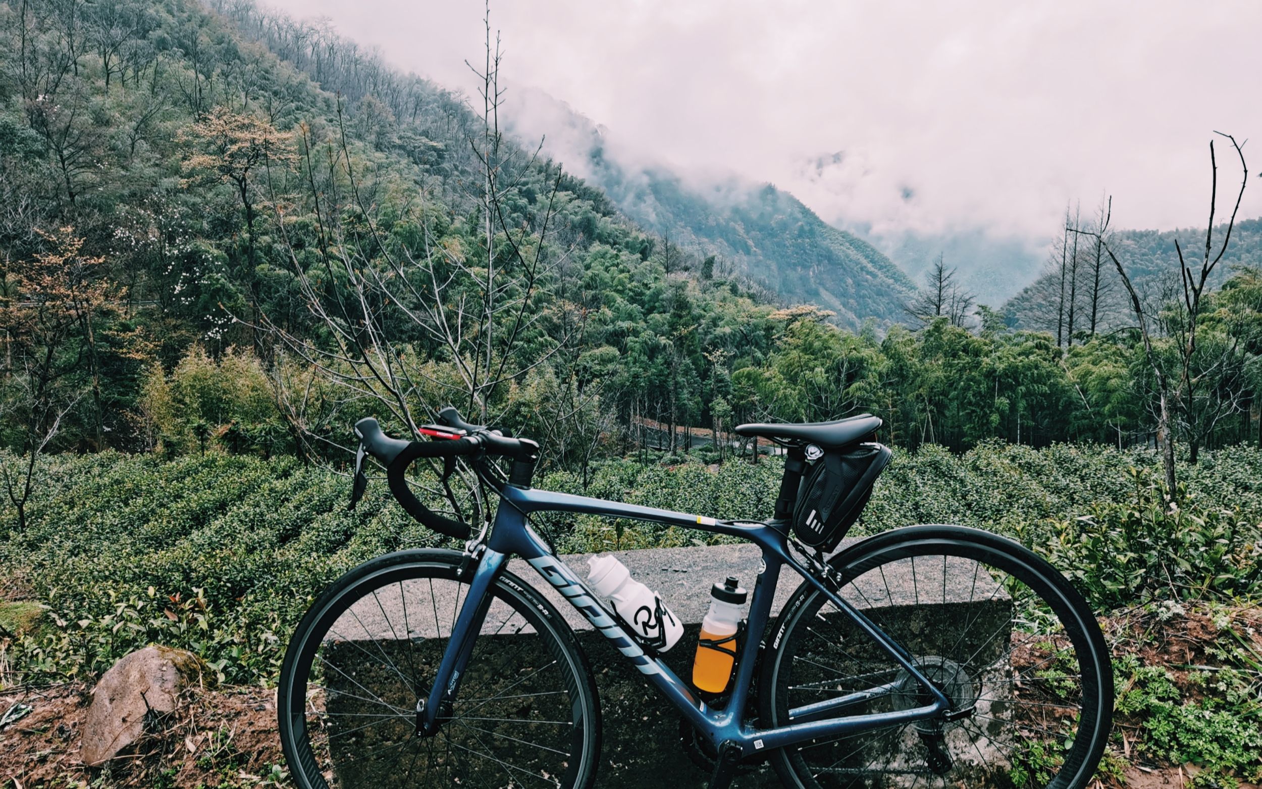 公路车骑行杭州临安往返150km+爬升1500m的太湖源你们爱了吗?哔哩哔哩bilibili